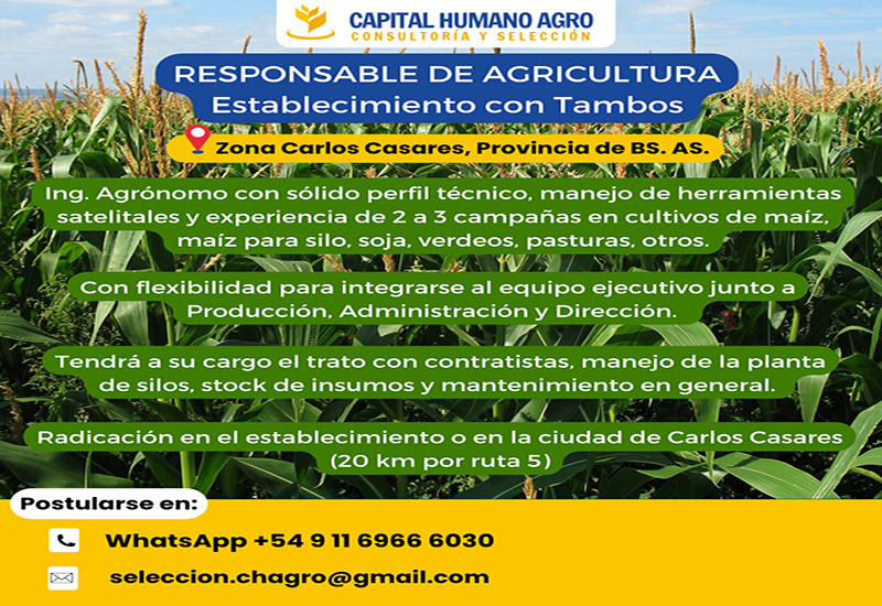 Responsable de Agricultura para Establecimiento con Tambos - Carlos Casares, Bs As